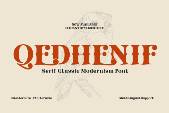 Qedhenif: The Retro Display Font for Vintage Branding