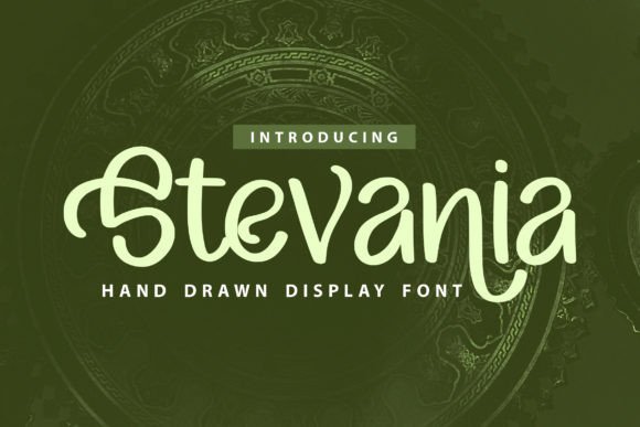Stevania: The Creative Script Font for Scroll-Stopping Campaigns